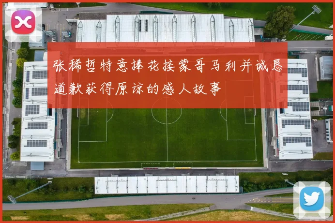 张稀哲特意捧花接蒙哥马利并诚恳道歉获得原谅的感人故事